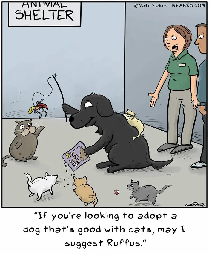 26 Funny Comics That Perfectly Capture The Strange World Of Cats