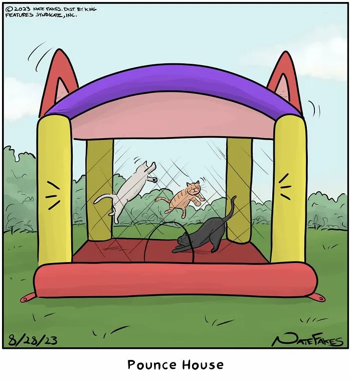 26 Funny Comics That Perfectly Capture The Strange World Of Cats