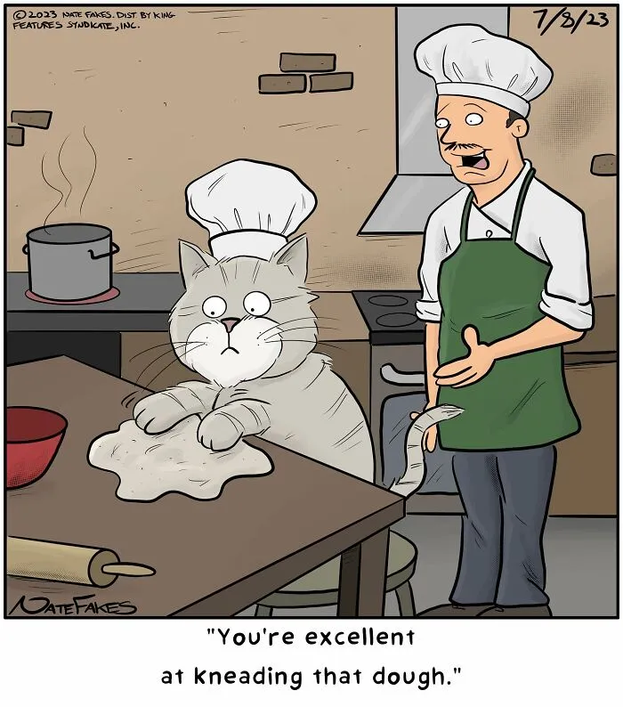 26 Funny Comics That Perfectly Capture The Strange World Of Cats