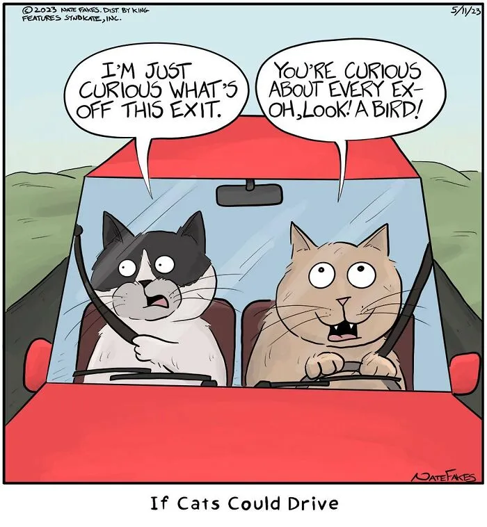 26 Funny Comics That Perfectly Capture The Strange World Of Cats