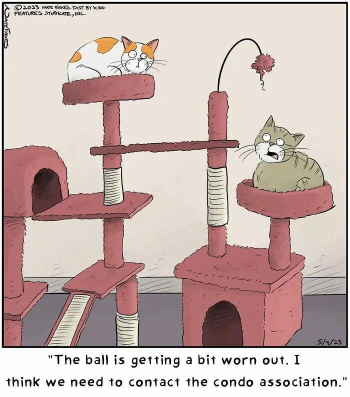 26 Funny Comics That Perfectly Capture The Strange World Of Cats
