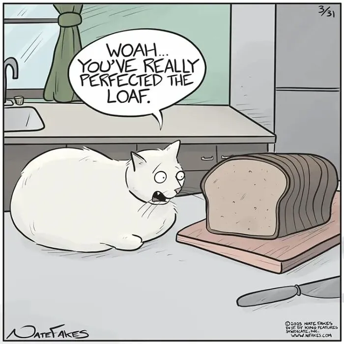 26 Funny Comics That Perfectly Capture The Strange World Of Cats