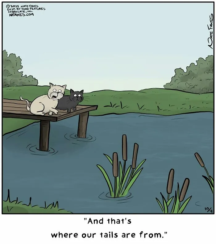 26 Funny Comics That Perfectly Capture The Strange World Of Cats