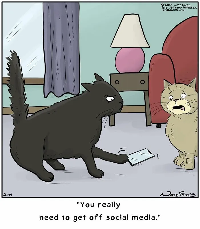 26 Funny Comics That Perfectly Capture The Strange World Of Cats