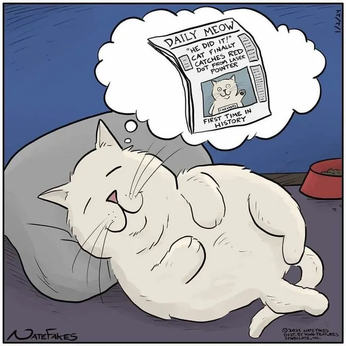 26 Funny Comics That Perfectly Capture The Strange World Of Cats