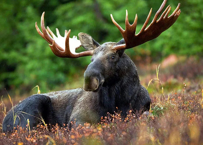 43 Surprisingly Dangerous Things You Shouldn’t Learn About The Hard Way