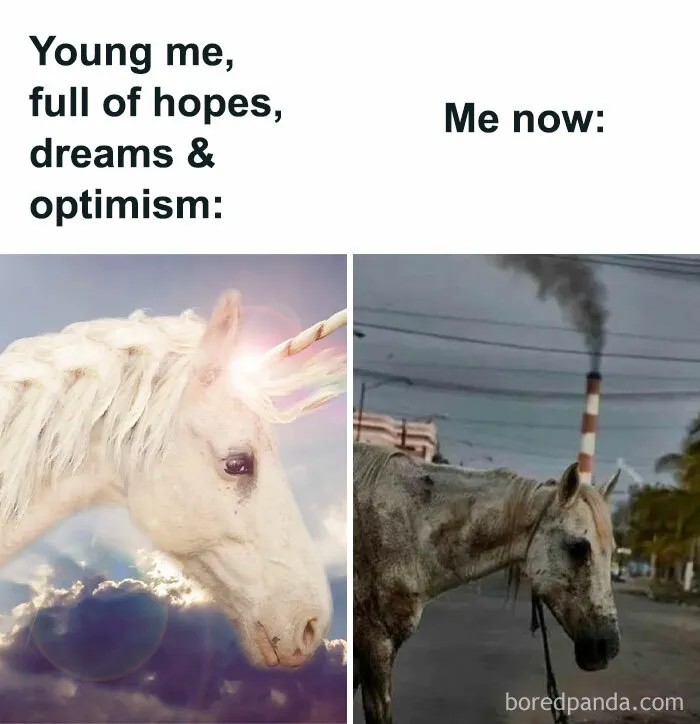 79 Silly Memes That Feel Suspiciously Relatable