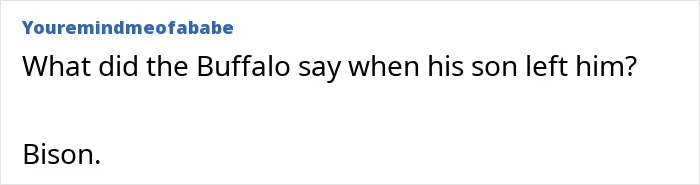 People Shared 65 “Emergency” Jokes They Use To Save Any Conversation