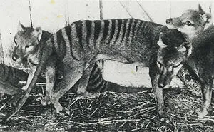 87 Rare And Fascinating Historical Photos That Let You Experience Life Over A Century Ago