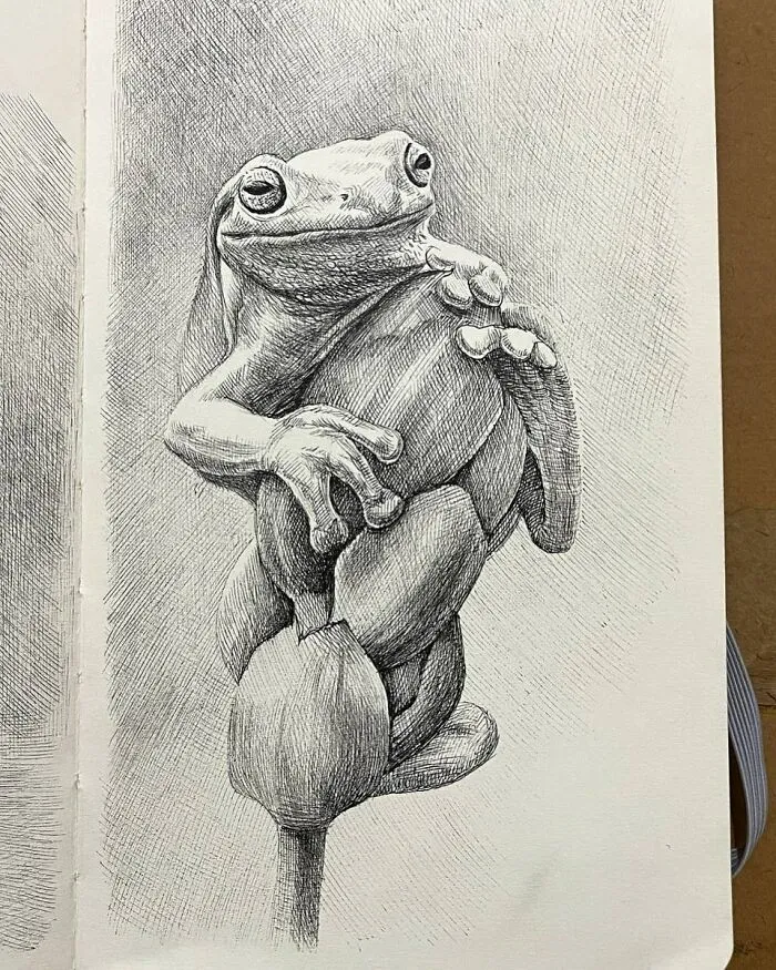 40 Ink Sketches By This Artist That Make A Simple Notebook Feel Like A Window Into Another World