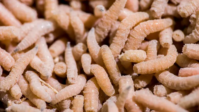 28 Times Doctors And Nurses Encountered Something Truly Revolting