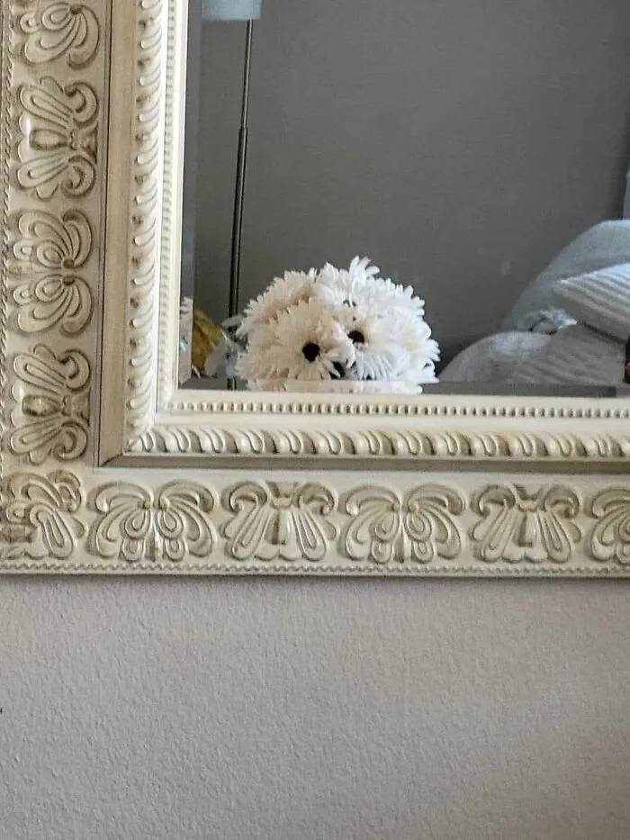 This Page Shared 60 Strange Moments When People Saw Faces In Everyday Things (New Pics)