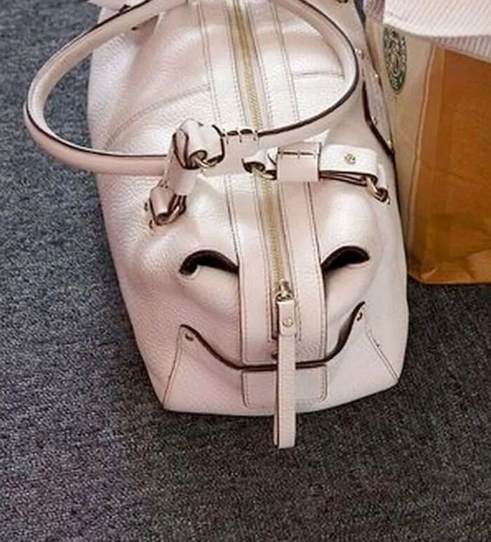 This Page Shared 60 Strange Moments When People Saw Faces In Everyday Things (New Pics)