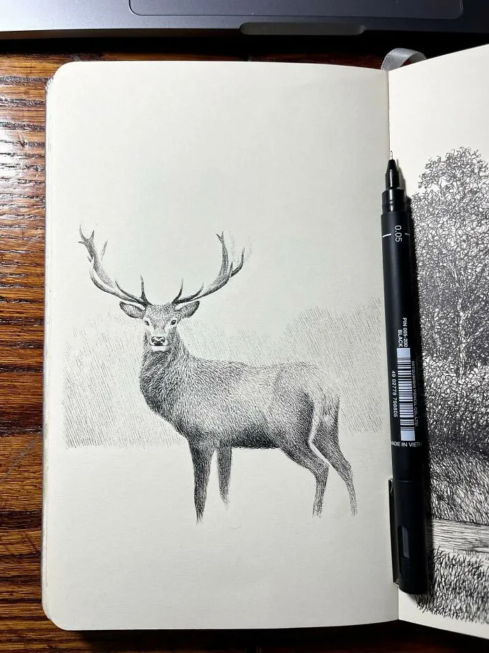 40 Ink Sketches By This Artist That Make A Simple Notebook Feel Like A Window Into Another World