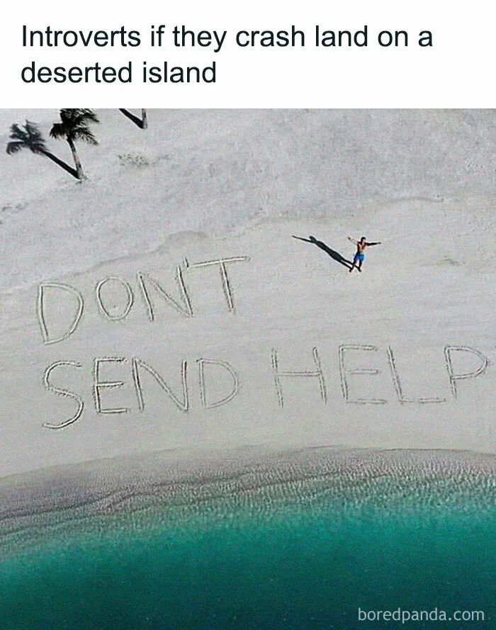 79 Silly Memes That Feel Suspiciously Relatable