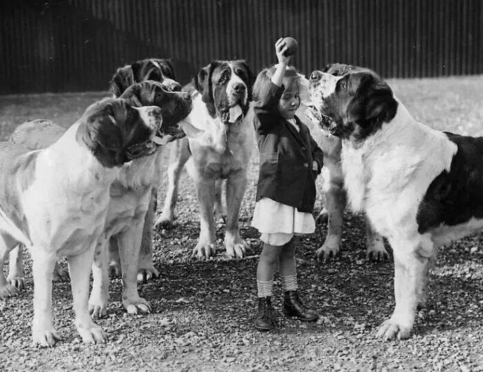 45 Historical Moments That Show The Unchanging Bond Between Dogs And Humans Shared By This Community