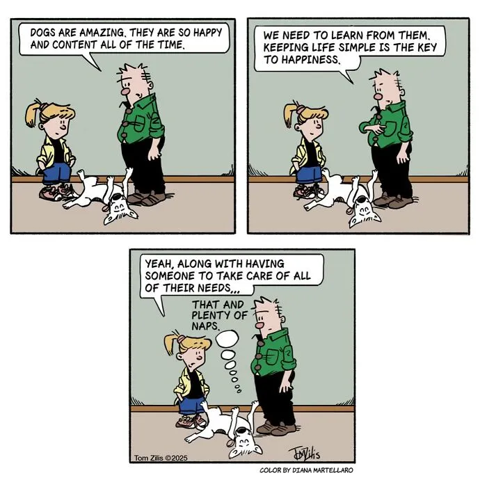 45 Relatable New Comics By Tom Zilis That Perfectly Capture Everyday Life