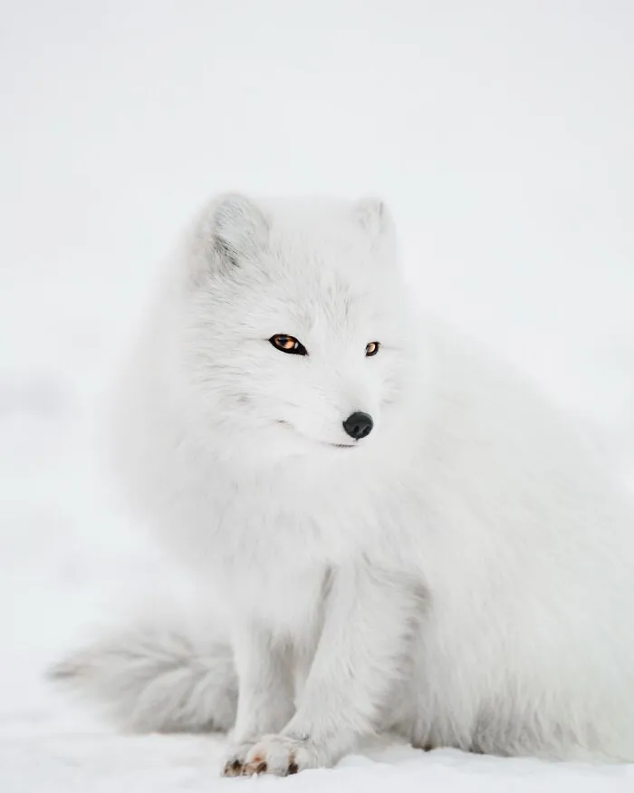 89 Pics Of Iceland That Look Like They Were Taken On Another Planet By This Photographer