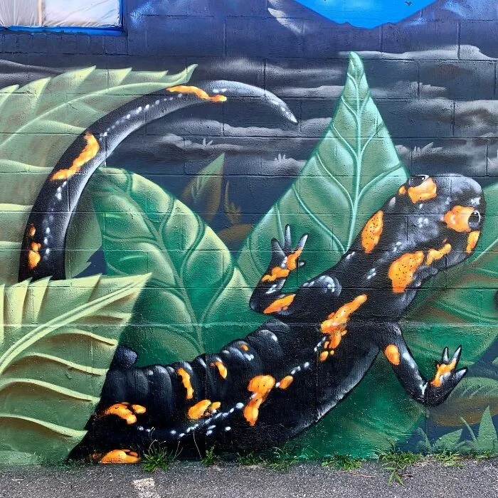 50 Bold Murals By ‘The Color Wizard’ That Turn Streets And Buildings Into Art