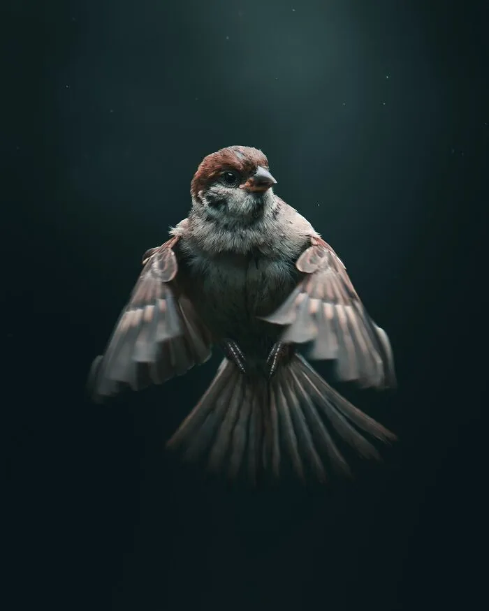 40 New Mesmerizing Wildlife Photos By Magnus Berggren That Capture Nature’s Darker Side