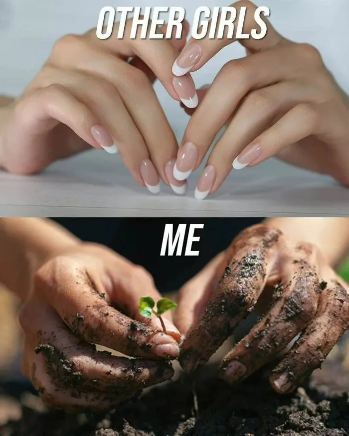 This IG Page Is Rife With Funny Plant Memes, And These 59 Are The Best So Far (New Pics)
