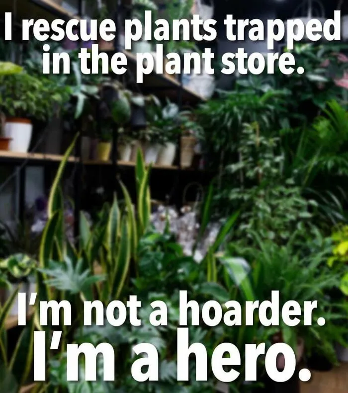 This IG Page Is Rife With Funny Plant Memes, And These 59 Are The Best So Far (New Pics)