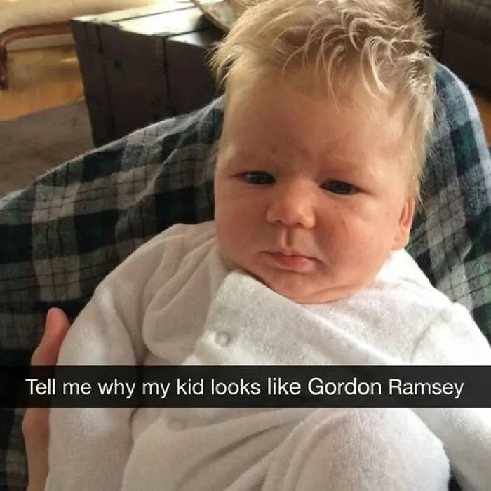 45 Funny Food Memes To Scroll While You’re Having Your Lunch