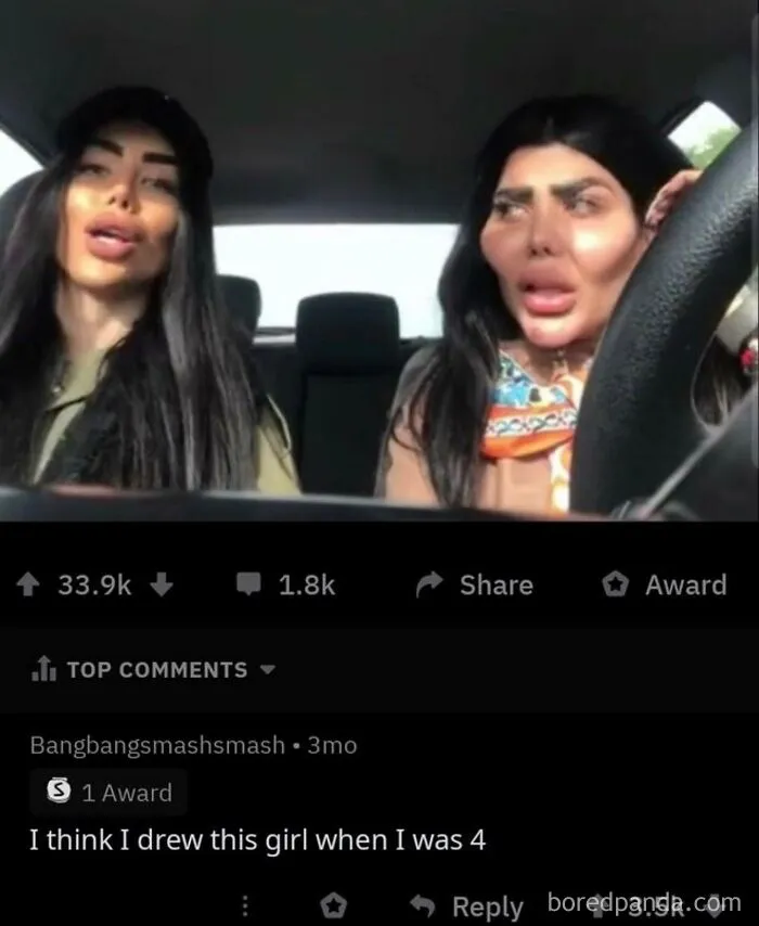 Two women with exaggerated facial features in a car, with a comment below that delivers rare burns.