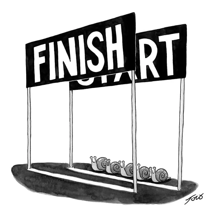 61 Clever One-Panel Comics By The Talented New Yorker Cartoonist Tom Toro (New Pics)
