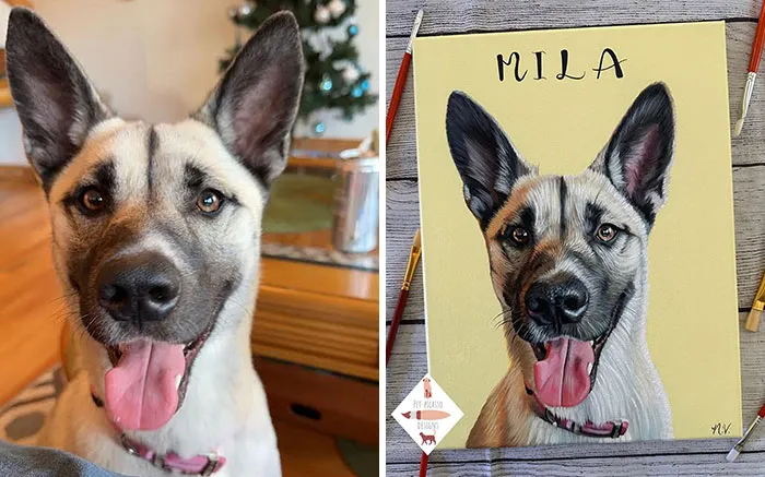 52 Amazingly Detailed Pet Portrait Paintings By This Artist