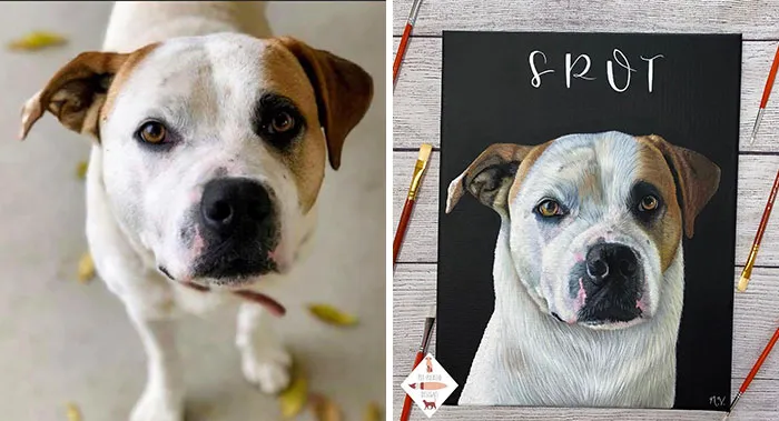 52 Amazingly Detailed Pet Portrait Paintings By This Artist