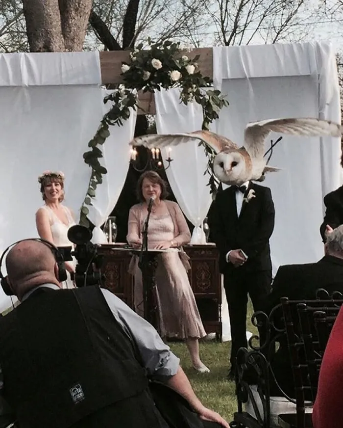 75 Times Weddings Went So Very Wrong, People Just Had To Vent Online