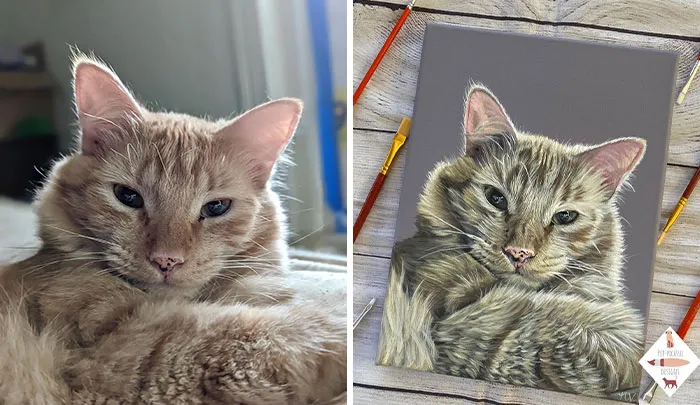 52 Amazingly Detailed Pet Portrait Paintings By This Artist