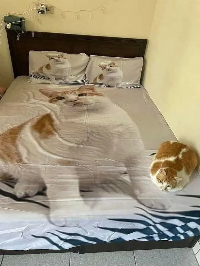 A large ginger cat resting on a bed with cat-themed bedding, a cute and important animal image.