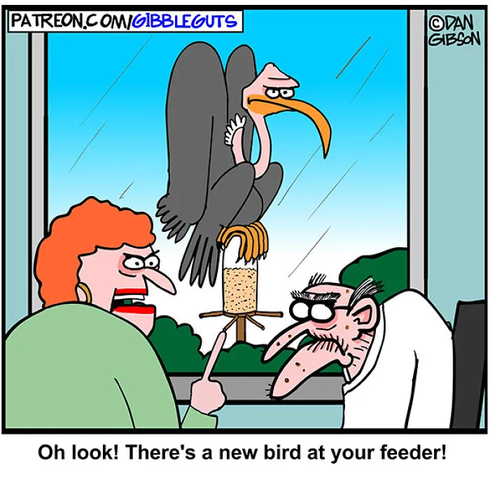 Dan Gibson Created 43 New Comics That Make Senior Life Look Wildly Entertaining
