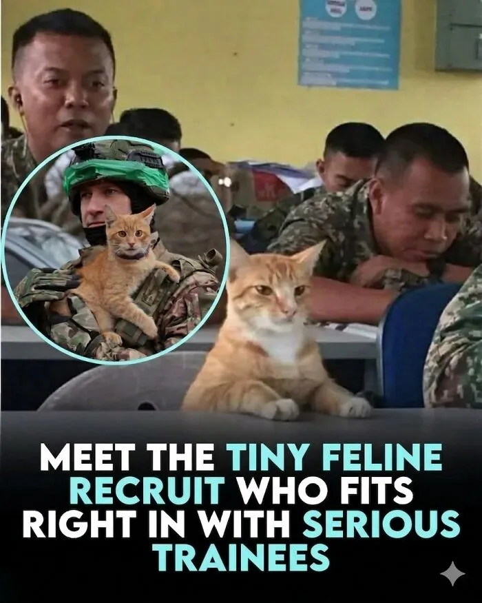 24 Wholesome Animal Facts From Around The World That Restore Faith In Nature