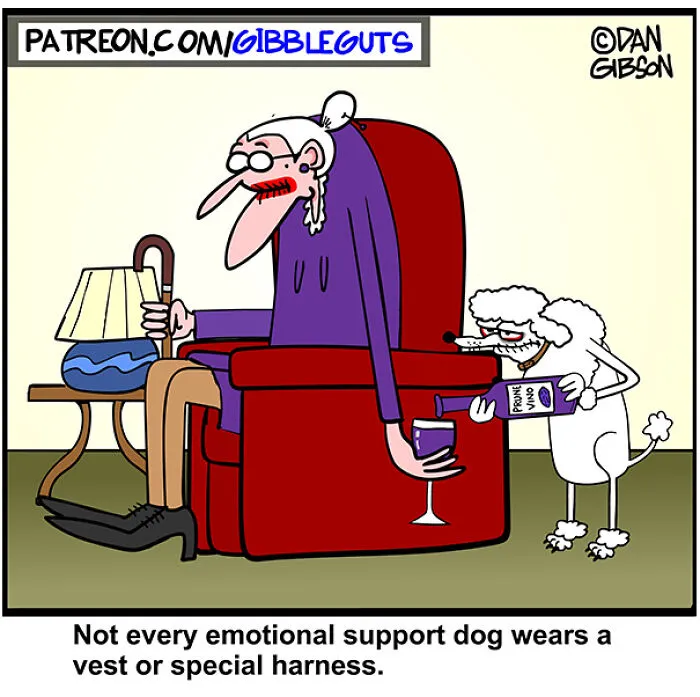 Dan Gibson Created 43 New Comics That Make Senior Life Look Wildly Entertaining