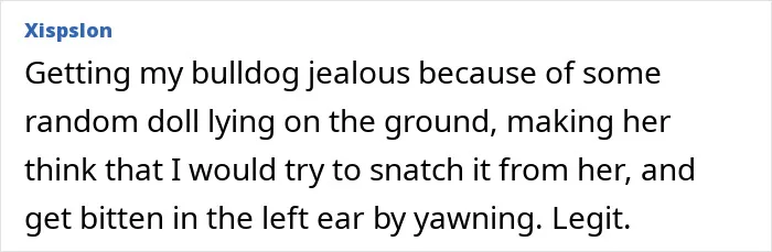 Person sharing a funny and painful stupid injury story involving a jealous bulldog bite to the ear.
