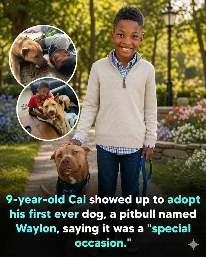 24 Wholesome Animal Facts From Around The World That Restore Faith In Nature