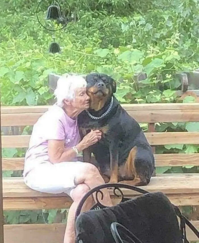 You'll Never Look Back And Say "I Spent Too Much Time With My Dog."