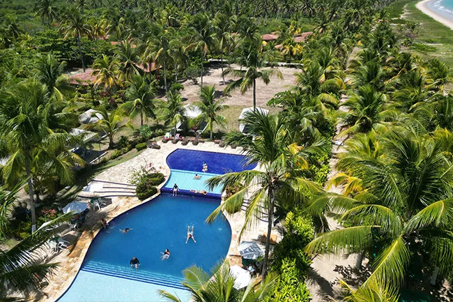 Aerial view of a luxury resort stay with a large pool surrounded by palm trees near the beach and lush greenery.