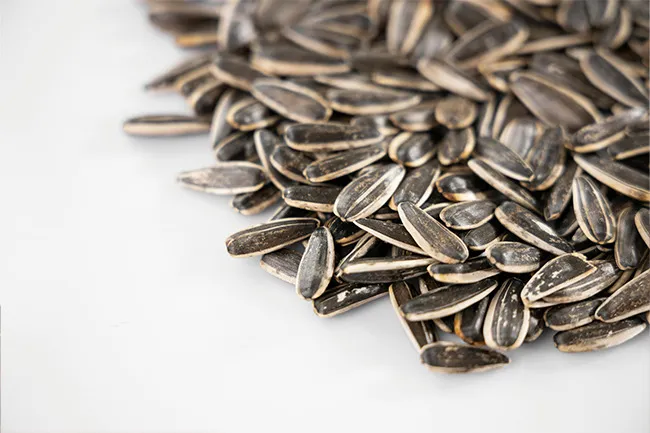 Close-up of black and white striped sunflower seeds scattered on a white surface, highlighting nervous snack choice.