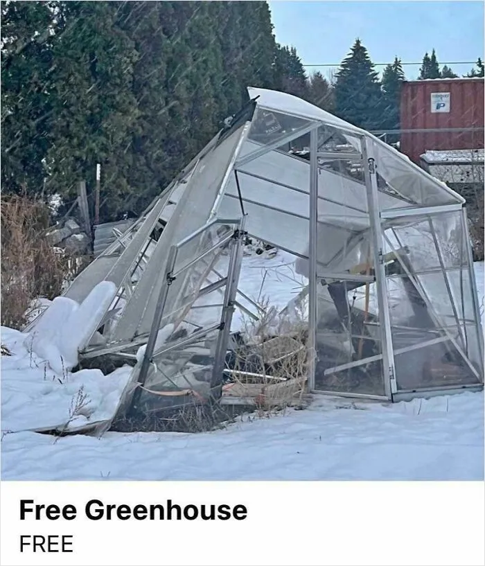 I Can’t Stop Laughing At This Listing I Saw On Fb Marketplace