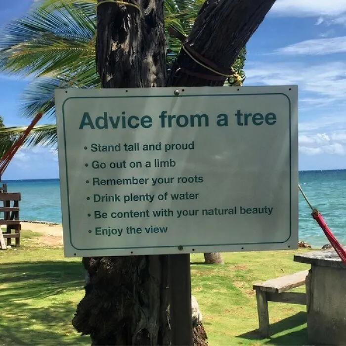 61 Bizarre Places People Found Hilarious (Not So) Useful Life Advice