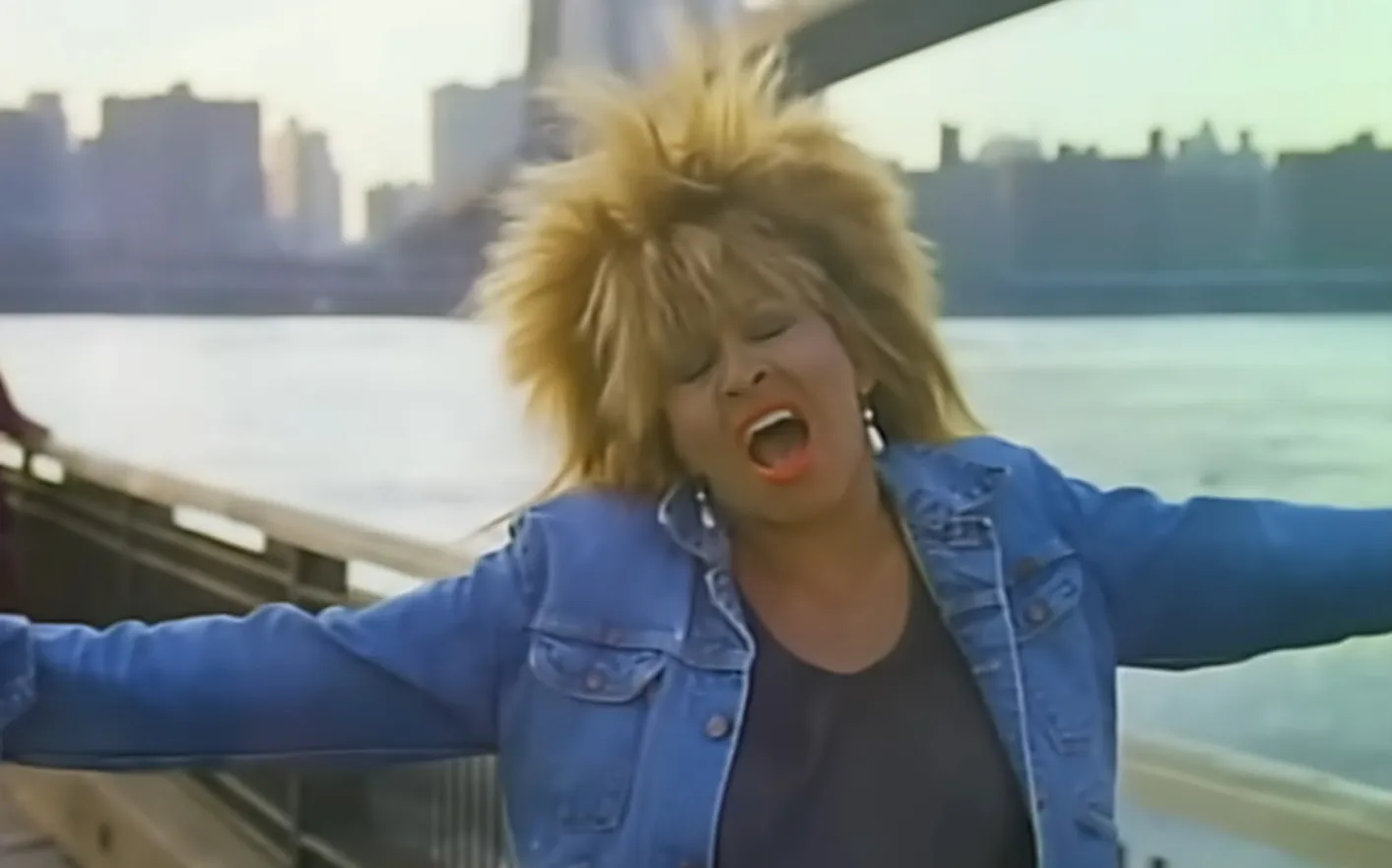 Tina Turner singing passionately outdoors near water with a city skyline in the background 80s 90s music icons