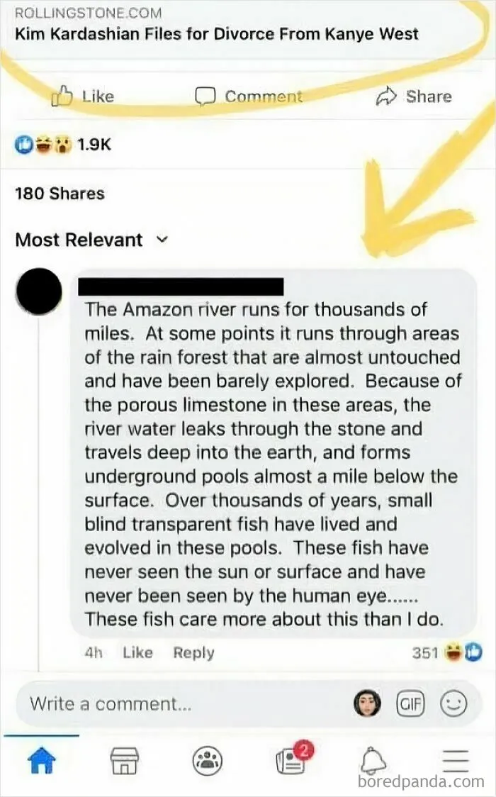 A Nice Little Science Lesson