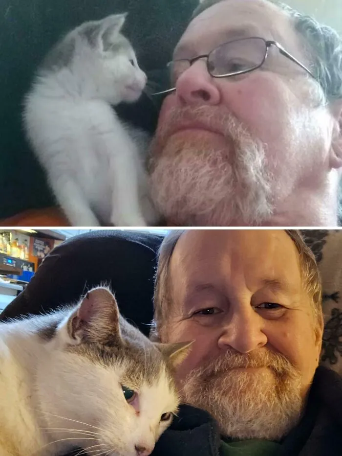 8 Years Ago, I Got My Very First Kitty And This Is Update Time