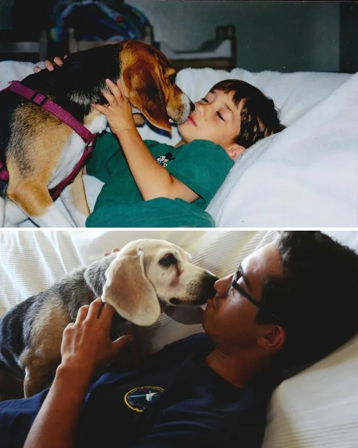 My Beagle Turned 16 Today. Had Her Since She Was Born