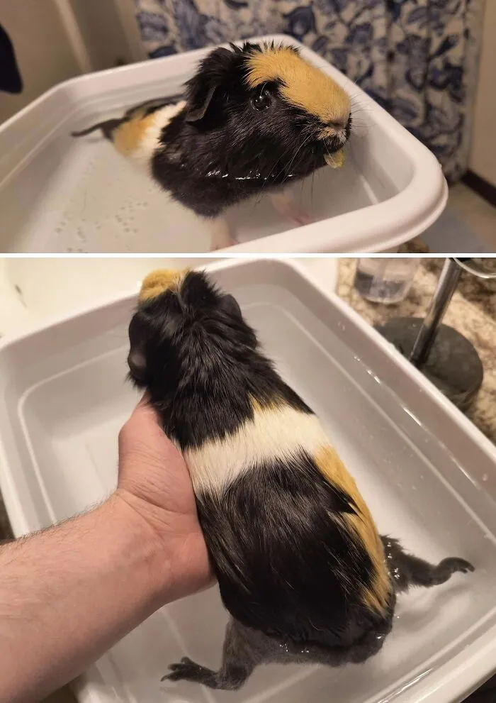 First Time Trying Water Therapy With S'mores