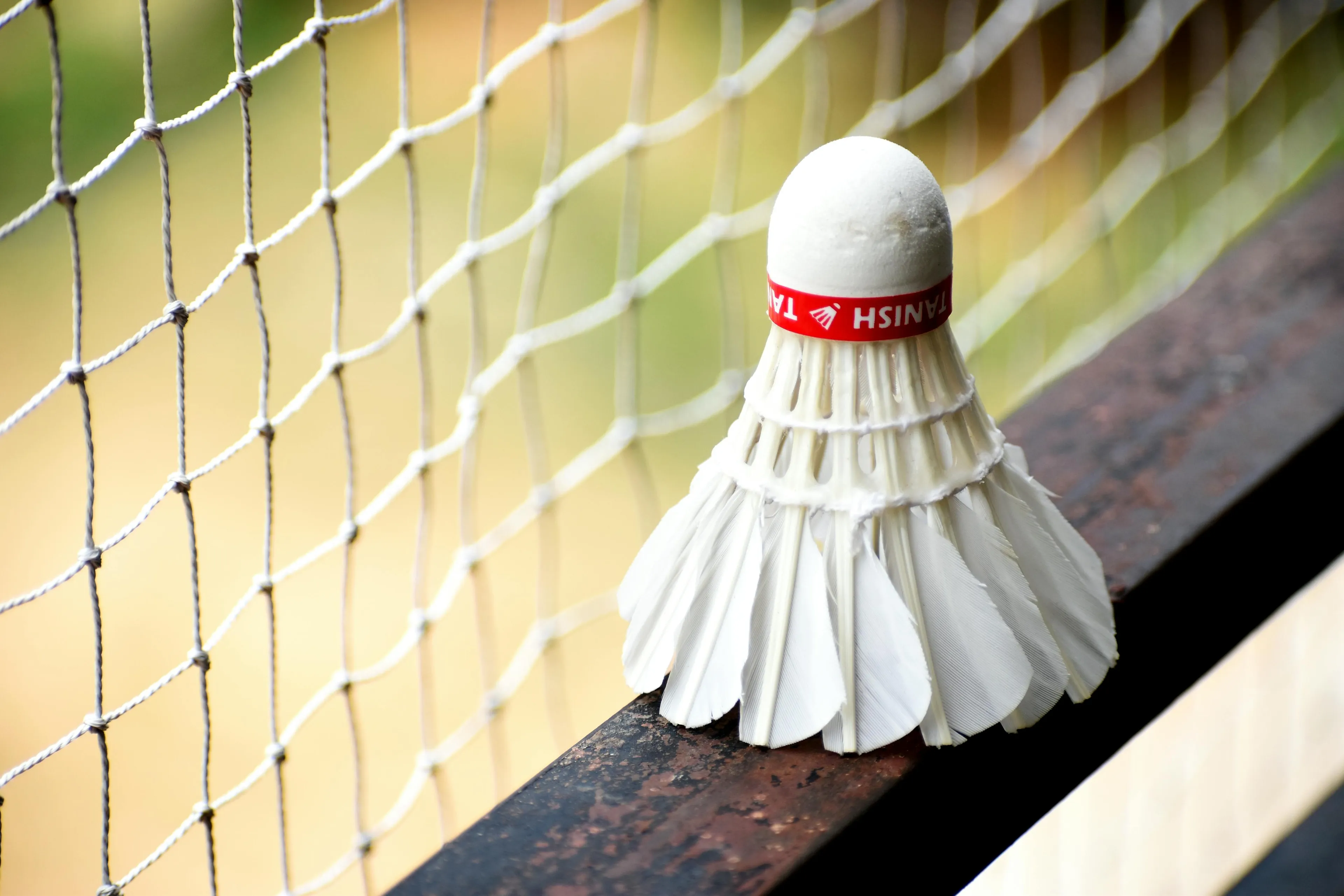Shuttlecock resting on badminton court edge with net in the background, representing the sport played with shuttlecock.